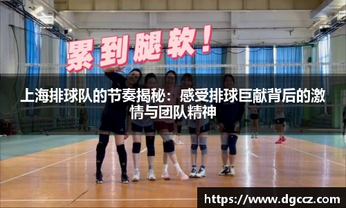 k1体育官方网站
